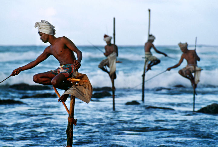 Stilt Fishermen